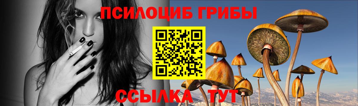 Псилоцибиновые грибы ЛСД  Вход с VPN  Кандалакша  Псилоцибиновые грибы ЛСД 